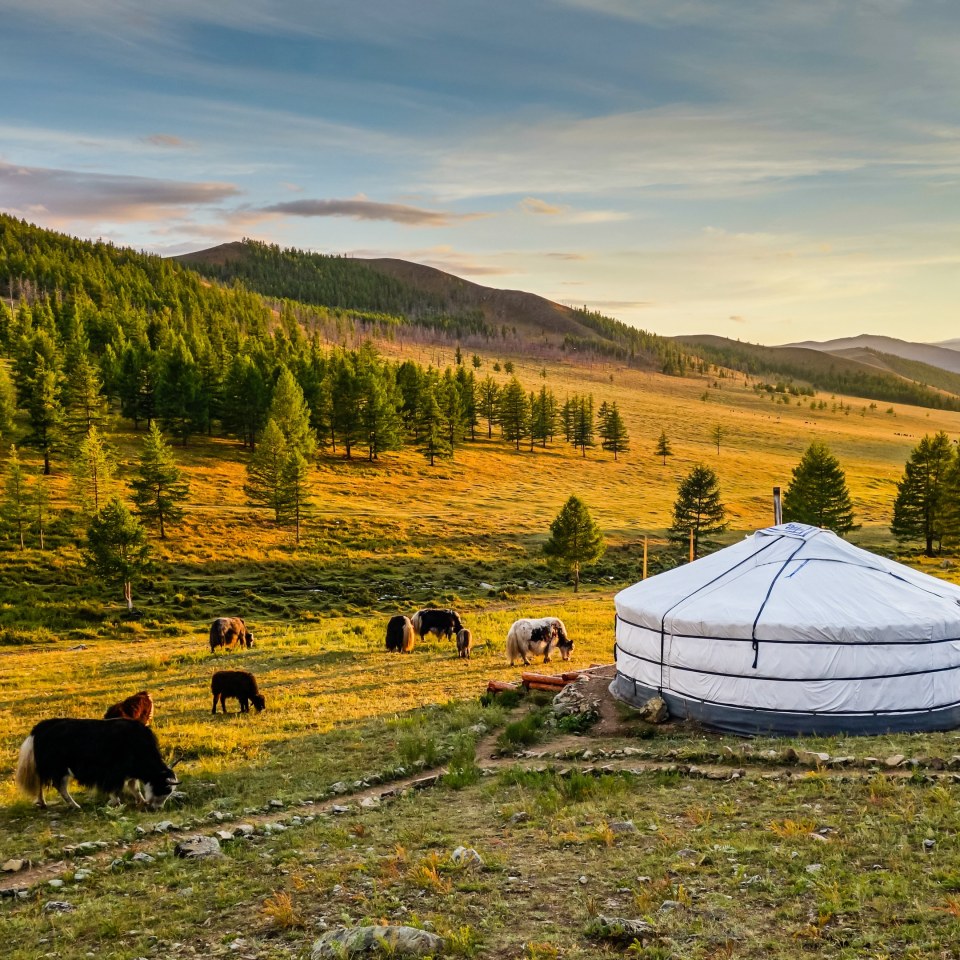Familienabenteuer Mongolei